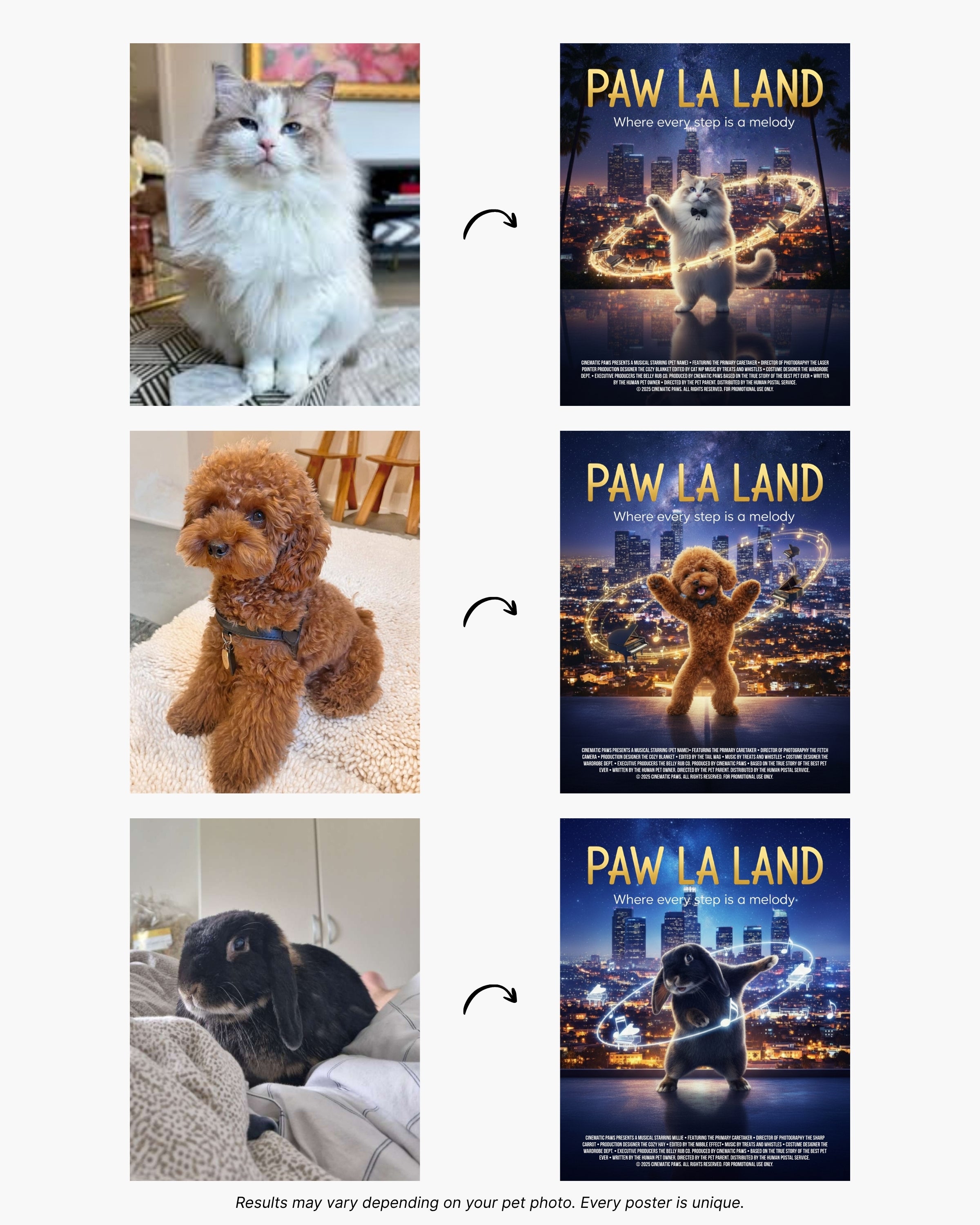 Paw La Land | Custom Pet Movie Poster